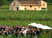 Anche quest’anno concretizza partnership Cantine Aperte Frantoi Aperti