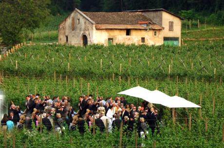 Anche quest’anno si concretizza la partnership tra Cantine Aperte e Frantoi Aperti