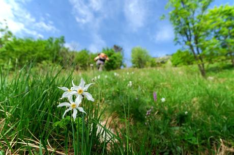 Sul Monte Cuar