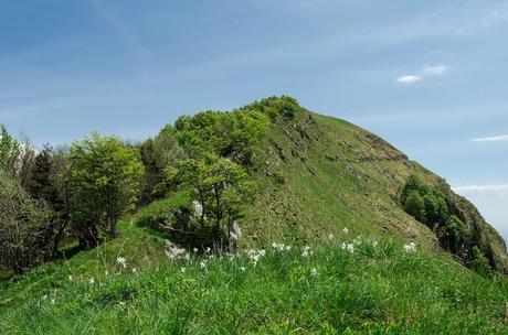 Sul Monte Cuar