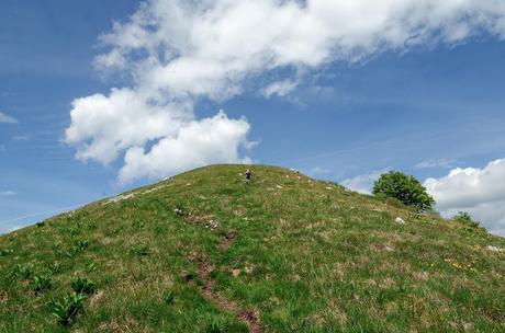 Sul Monte Cuar