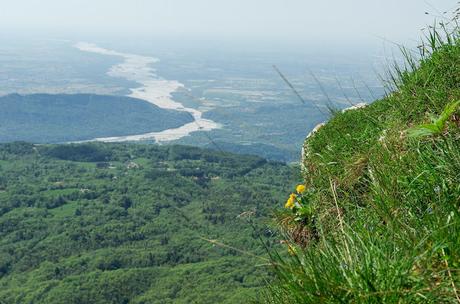 Sul Monte Cuar