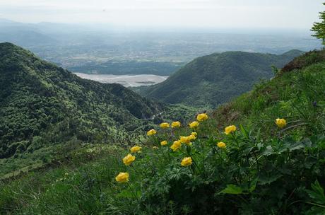 Sul Monte Cuar