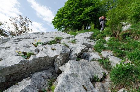 Sul Monte Cuar