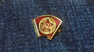 APPELLO - i “giovani” della FGCI genovese anni ’70, ma non solo.