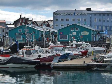 7 ricordi di un paese dall’aspetto glaciale, ma dal cuore caldo. L’Islanda e la sua capitale Reykjavik Porto_Reykjavik_luogolungo