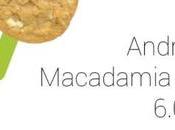 Android chiamerà Macadamia Cookie, arriverà tutti Nexus