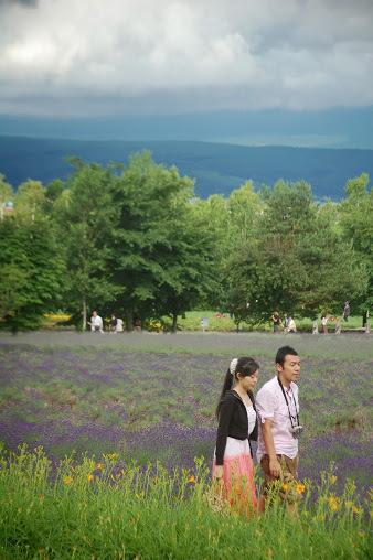 Farm Tomita (foto di Patrick Colgan, 2011)