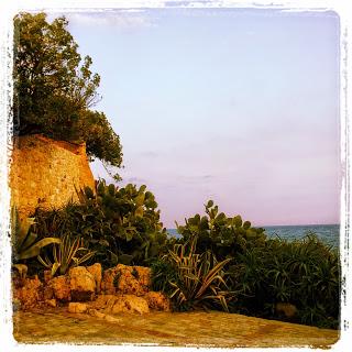 Antibes - Black Cat Souvenirs