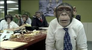 Blogging da scimmie