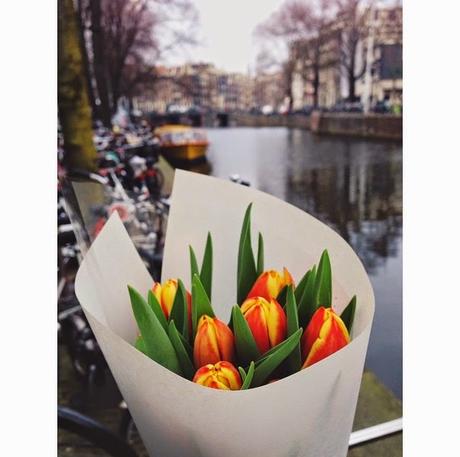 Amsterdam tra tulipani, zoccoli di legno e birra artigianale