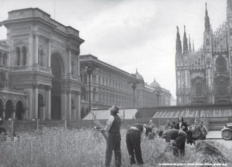 Orto di guerra in tempo di pace: piccola storia leggera di cosa coltivavamo durante la guerra