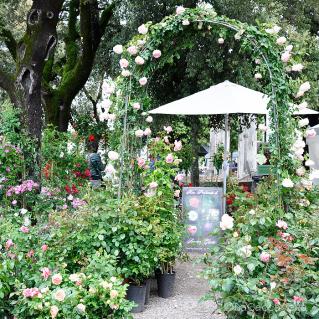 lacaccavella,Perugiaflowershow, perugia, flower, fiori, piante, plantes, garden, gardening, giardinaggio, green, verde, farfalle, butterfly, spring, primavera