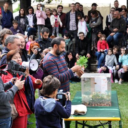 lacaccavella,Perugiaflowershow, perugia, flower, fiori, piante, plantes, garden, gardening, giardinaggio, green, verde, farfalle, butterfly, spring, primavera