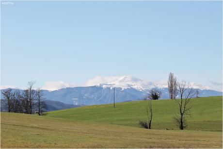 Modena e sapori: lì dove nasce il Parmigiano Reggiano DOP.