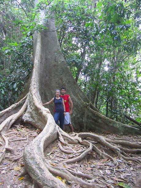 Malesia- viaggio con zaino in spalla