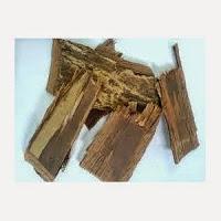 Il Lapacho, antimicrobico naturale, alleato delle difese immunitarie