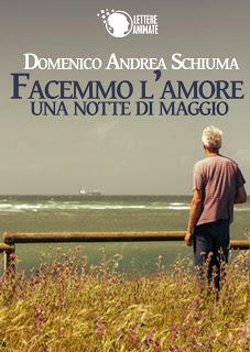 Facemmo l'amore in una notte di maggio | Domenico Andrea Schiuma