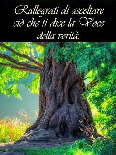 Quando un fratello agisce follemente, ti offre l'opportunità di benedirlo. Parte 3. Quando un fratello agisce follemente, ti offre l'opportunità di benedirlo. Parte 3.