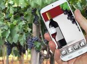 Vino Digitale 2015: migliorano social, male l’e-commerce [Ricerca]