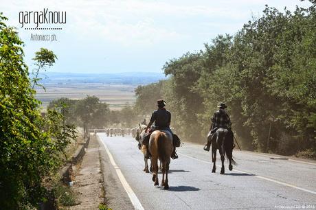 FOTOGALLERY: Transumanza 2015 San Marco in Lamis - Frosolone