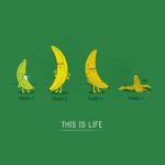 Banana Lovers #16: Banana Comics & Cutes