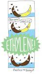 Banana Lovers #16: Banana Comics & Cutes