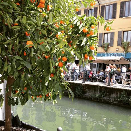 naviglio-milano