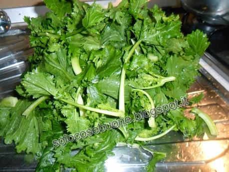 Torta salata alle cime di rapa