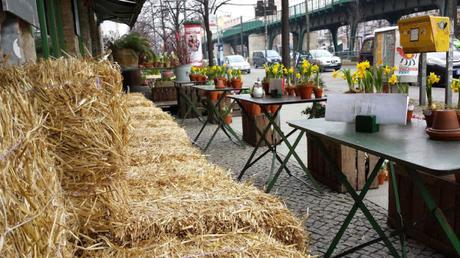 Il Blumen cafè (foto di Patrick Colgan, 2015)