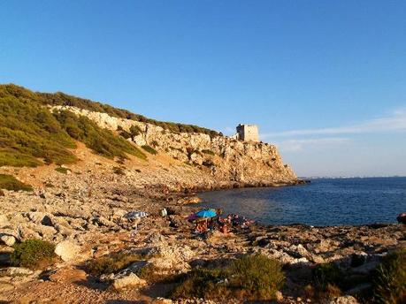 spiaggia-porto-selvaggio