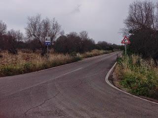 Osservazioni del fitoiatra Davide del Lentinis del 27 maggio 2015 terreni che ricadono nel parco regionale di punta pizzo nel comune di Gallipoli. Altri scatti sono stati fatti nell'agro di Matino.