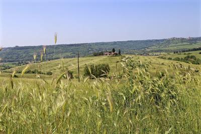 la riserva naturale del Monte Rufeno