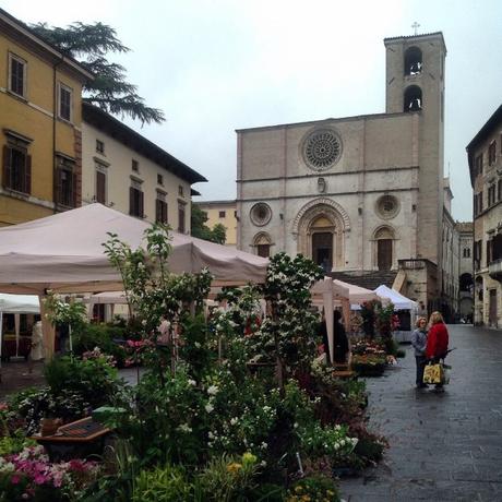 La Todi dei tesori privati si apre alla gioia del pubblico