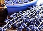 natura essenziale degli oli, condensato luce calore