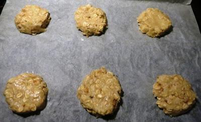 BISCOTTI ALL'AVENA E COCCO