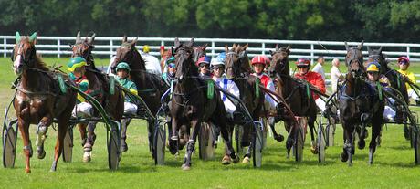 GP della Campania – Ippodromo di Agnano (3)