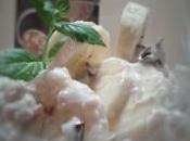 Yogurt greco, banane cereali