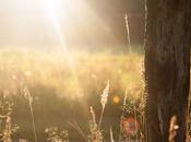 tuoi occhi Nazim Hikmet