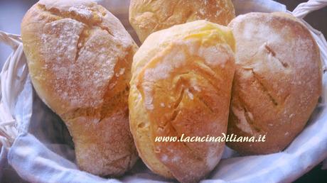 Panini Tabatiere (Tabacchiera) con Lievito Madre