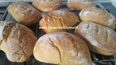 Panini Tabatiere (Tabacchiera) con Lievito Madre