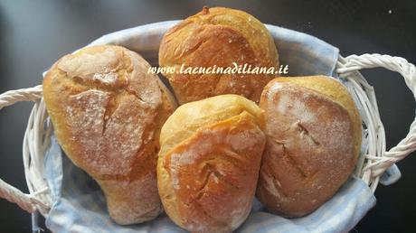 Panini Tabatiere (Tabacchiera) con Lievito Madre