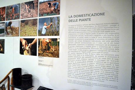 museo etnografico delle dolomiti belluno