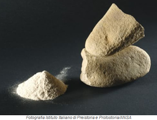 Archeologia. In Toscana la farina più antica del mondo, databile al 30.000 a.C.