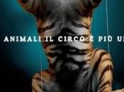 circo degli animali Benedetto Tronto (AP)