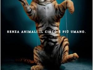no al circo con animali a sbt