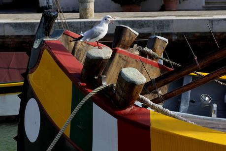 Una pigra domenica d’estate con i “troccoli pugliesi”