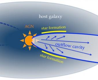 Illustrazione del modello di vento galattico costruito a partire dalle osservazioni SINFONI/VLT ed HST del quasar XID2028: il vento scava una cavità nelle regioni di formazione stellare della galassia in cui risiede il quasar, fermando la formazione stellare stessa e rinvigorendola solo ai bordi della cavità (da Cresci et al. 2015)