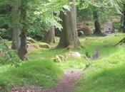 noia, abbiamo nuovo vinto tutti sonetto Jena Camuna