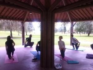 Venerdì 5 e 12 giugno al Parco Margorabbia lo yogi Michael Steinroetter di “LuinoYoga” terrà lezioni di yoga